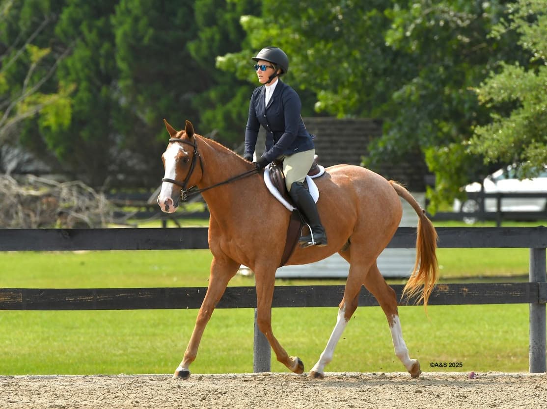 Secretary Case Study: Daryle-Lynn Roberts of Coastal Hunter Circuit